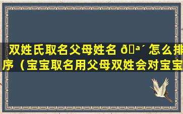 双姓氏取名父母姓名 🪴 怎么排序（宝宝取名用父母双姓会对宝宝不好吗）